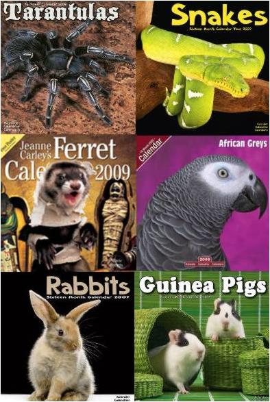 Animales exoticos